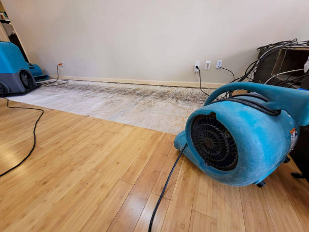 Professional Basement Flood Cleanup technician working in Fort Apache, AZ